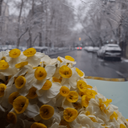 تصویر نمایه‌ی ‌9**7105‌
