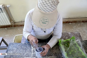 اردوی جهادی در زنجان