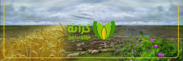 تصویر سربرگ نمایه‌ی کاربر