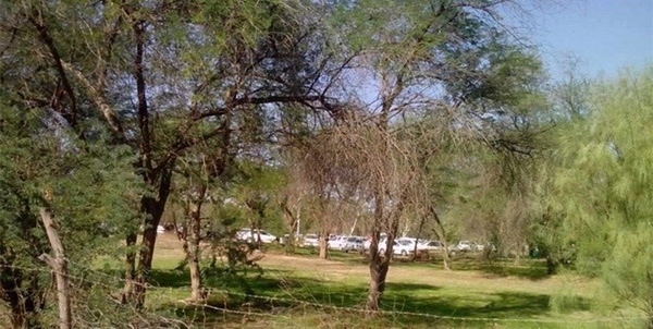 پارک جنگلی