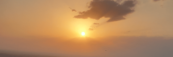 تصویر سربرگ نمایه‌ی ‌توفیق اجباری‌