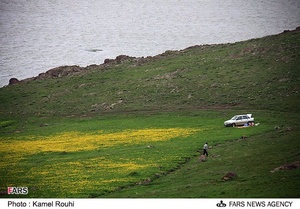 گردشگران در سواحل دریاچه نئور 