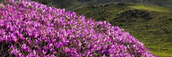 تصویر سربرگ نمایه‌ی ‌فقه و زندگی‌