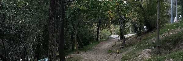 تصویر سربرگ نمایه‌ی ‌فروغ شیخعلی‌