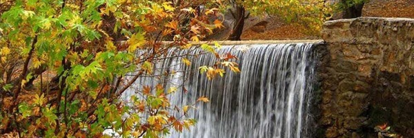 تصویر سربرگ نمایه‌ی ‌منصور افشاری‌
