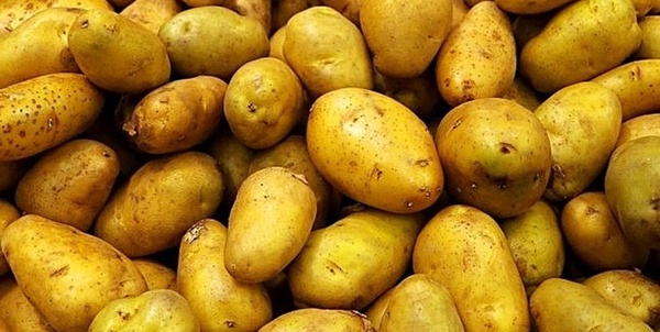سیب زمینی