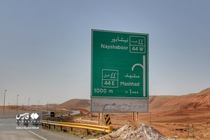 زائران پیاده امام رضا (ع) 