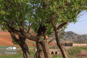 کاروانسرای گویجه بل اهر