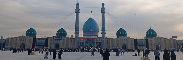 تصویر سربرگ نمایه‌ی ‌نیلوفر سلیقه دار ایران‌