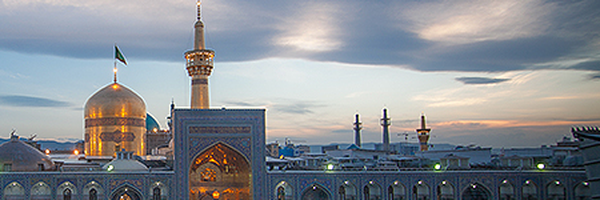 تصویر سربرگ نمایه‌ی ‌سید ناصر نعمتی‌