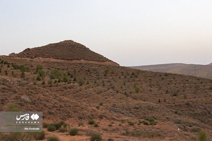 پارک جنگلی آرپادره سی