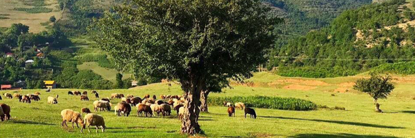 تصویر سربرگ نمایه‌ی ‌ميثم نورنیاعمران‌