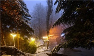 شب سرد زمستانی تهران