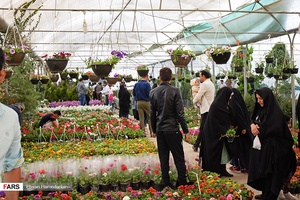 گل‌های بهاری مهمان‌خانه اصفهانی‌ها