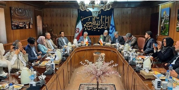 دانشگاه سالنتو