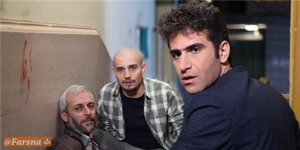 لیسانسه ها