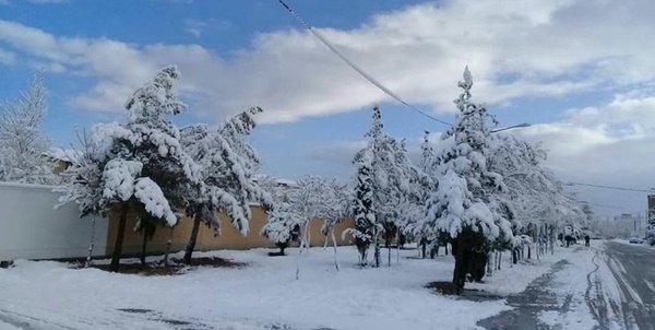 هواشناسی
