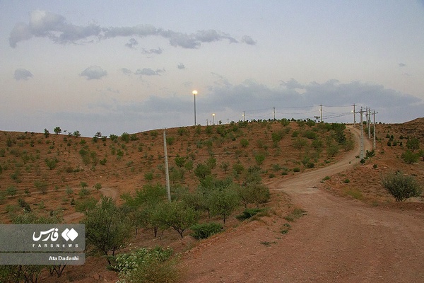 پارک جنگلی آرپادره سی