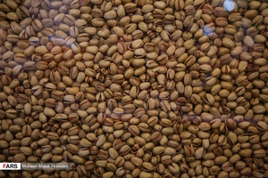 بازار به رنگ یلدا