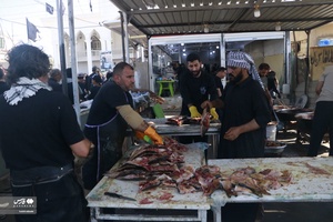 همراه با زوار و خادمان حسینی از نجف تا کربلا