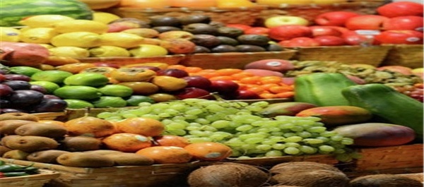 صادرات محصولات غذایی به روسیه
