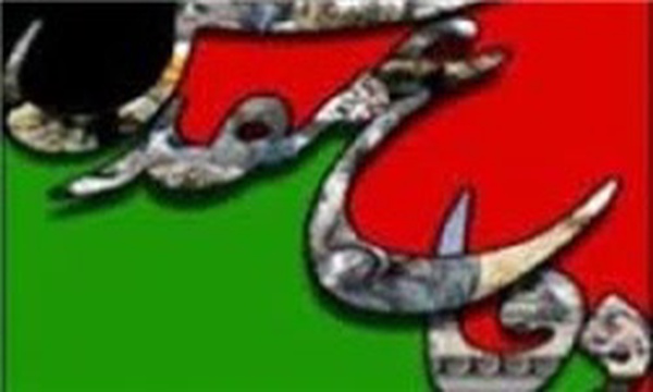 دفاع مقدس