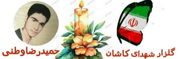 تصویر سربرگ نمایه‌ی ‌حمیدرضا وطنی‌