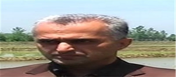 علیرضا شعبان‌نژاد رئیس جهاد کشاورزی گیلان