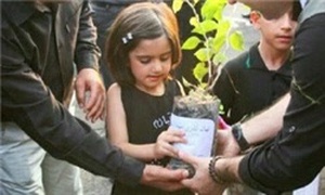 اهدای نهال