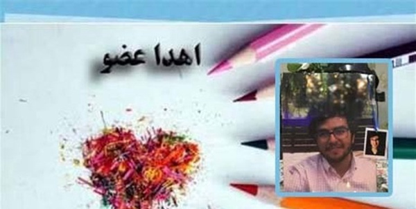 نخبه علمی کشور