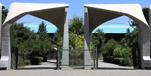 دانشگاه تهران