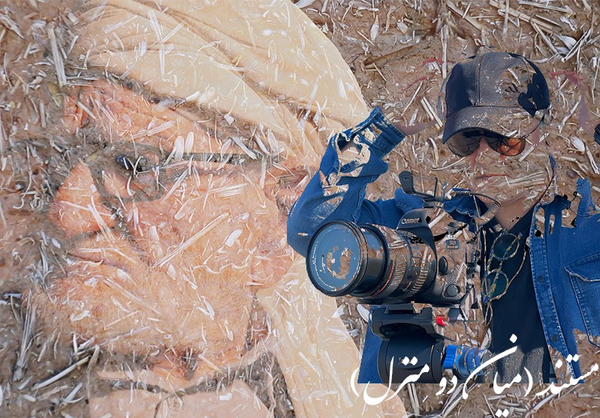 مستند