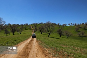 طبیعت «کول میشان»