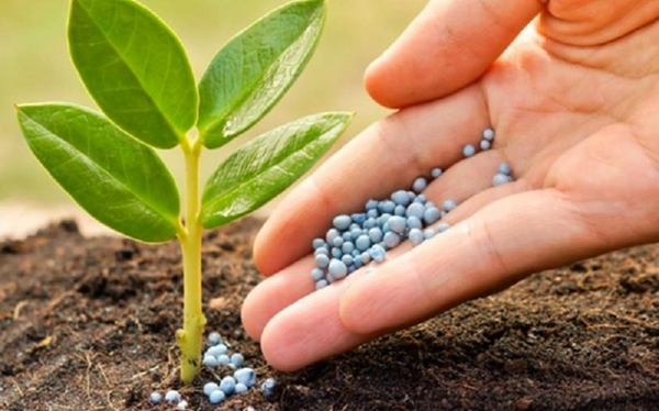 کود شیمیایی کشاورزی