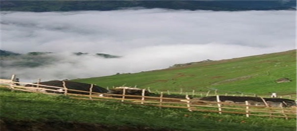 روستای سوباتان تالش