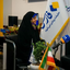 تصویر نمایه‌ی ‌عذرا کبورانی‌