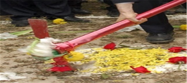 کلنگ زنی