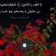 تصویر نمایه‌ی ‌زهرا حمیدی‌