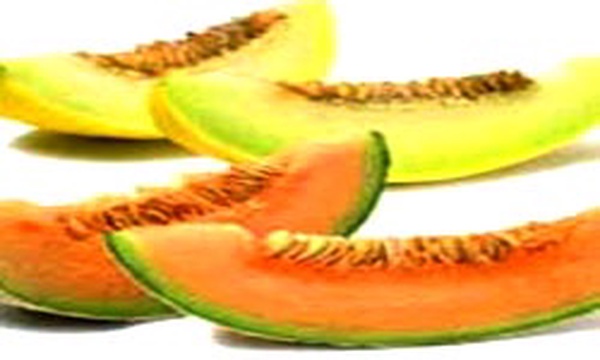 خربزه T