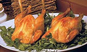خوراک مرغ تغذیه آشپزی