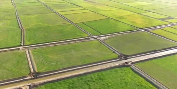 اراضی کشاورزی