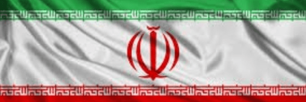 تصویر سربرگ نمایه‌ی ‌مرجان سعیدی‌