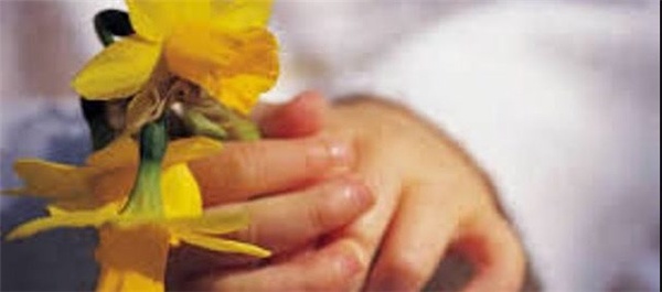 جشن نیکوکاری