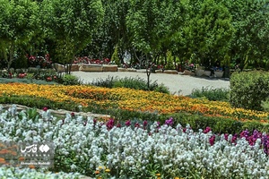 اردیبهشت در باغ گل های شیراز