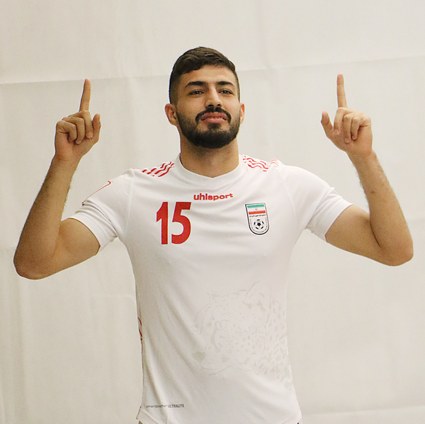رضا دهقانی، دهقانی