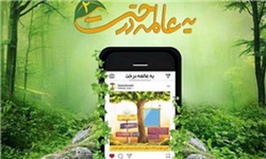 یه عالمه درخت