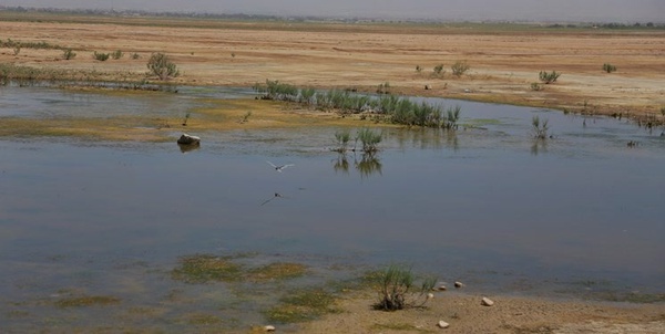تالاب