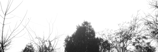 تصویر سربرگ نمایه‌ی ‌میثم‌