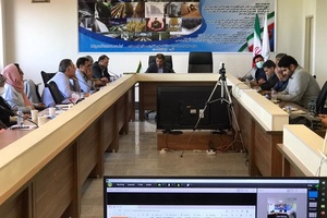 محیط زیست 