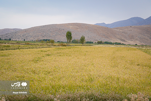 ندای لرستان